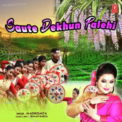 Saute Dekhun Palehi - Madhushmita album cover 