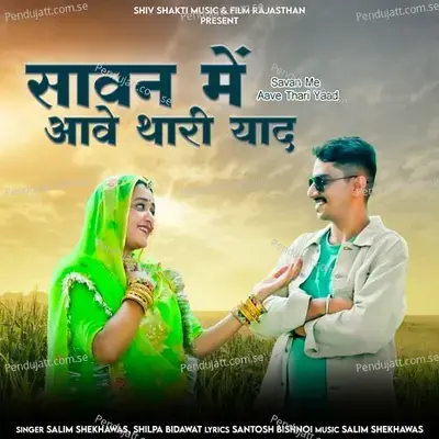 Savan Me Aave Thari Yaad - Salim Shekhawas album cover 