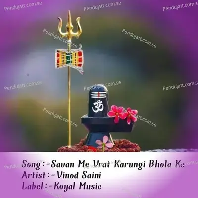 Savan Me Vrat Karungi Bhola Ke - Vinod Saini album cover 