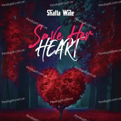 Save Her Heart - Shatta Wale album cover 