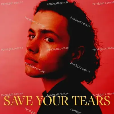 Mufasa  The Lion King  Hindi Original Motion Picture Soundtrack 