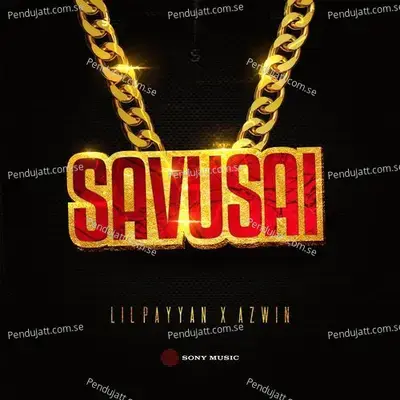 Savusai - AZWIN album cover 