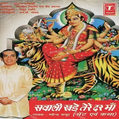 Jhoola Rahe Jhoola Rahe Dar Tere - Surender Kohli album cover 