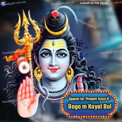 Sawan Ko Mosam Aayo R Baga M Koyal Bol - Anil Chandela album cover 