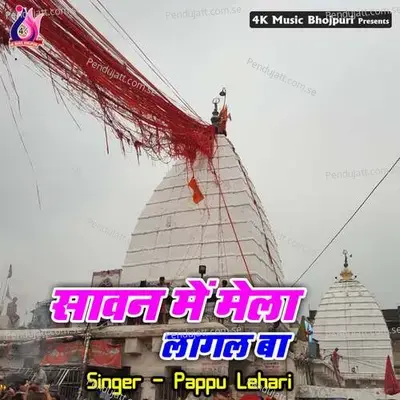 Sawan Mai Mela Lagal Ba - Anil Kumar