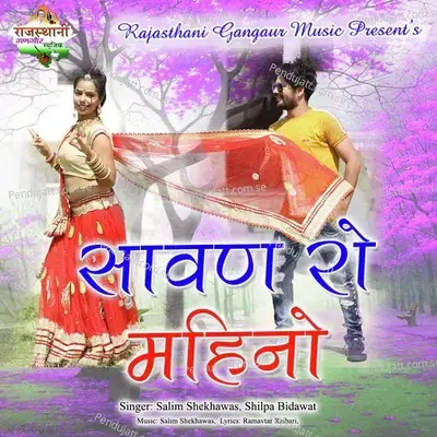 Sawan Ro Mahino - Salim Shekhawas album cover 