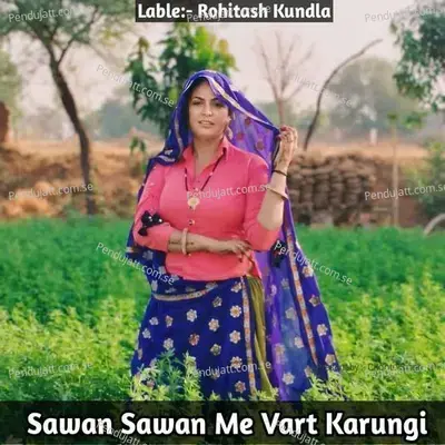 Sawan Sawan Me Vart Karungi - Rohitash kundla album cover
