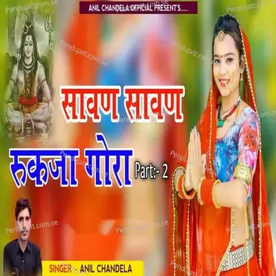 Sawan Sawan Rok Ja Gora Part 2 - Anil Chandela album cover 