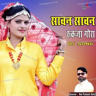 Sawan Sawan Ruk Ja Gora Dj Song - Anil Chandela album cover 