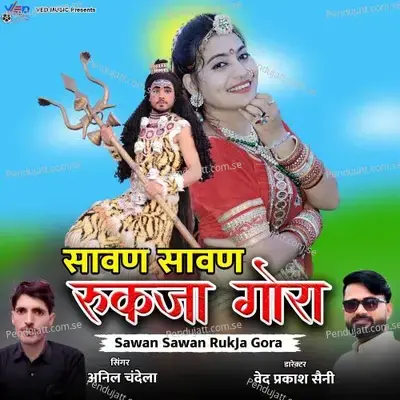 Sawan Sawan Rukja Gora - Anil Chandela album cover 