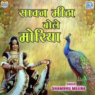 Sawanme Mitha Bole Modia - Shambhu Meena album cover 
