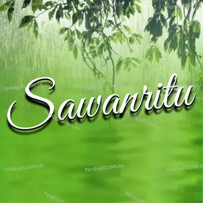 Sawanritu - Amod Kulkarni album cover 