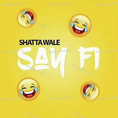 Say Fi - Shatta Wale album cover 