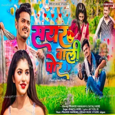 Sayar Wali Por - Bhaiya More album cover 