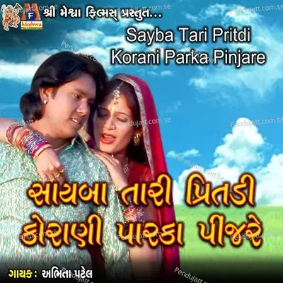 Sayba Tari Pritdi Korani Parka Pinjare - Abhita Patel album cover 
