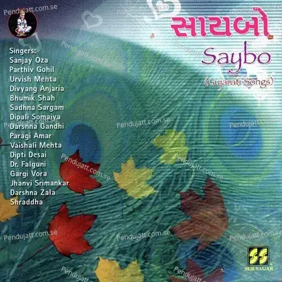 Pandadu Leelu Ne Rang - Sanjay Oza album cover 