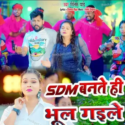 Sdm Bante Hi Bhul Gaile - Ritik Pandey album cover 