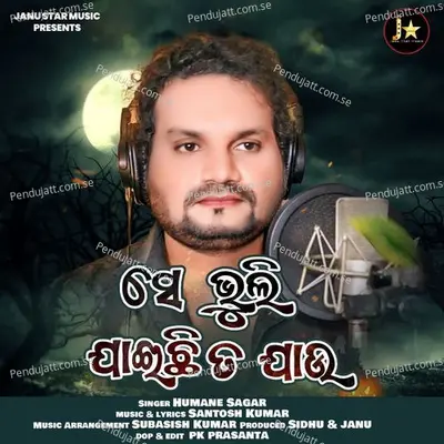 Se Bhuli Jaichi Ta Jau - Humane Sagar album cover 