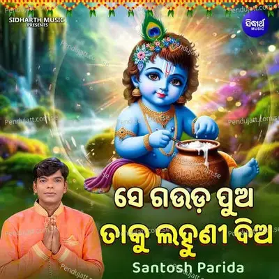 Se Gauda Pua Taku Lahuni Dia - Santosh Parida album cover 