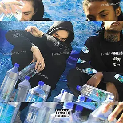 Fijifalls - Chris Travis album cover 