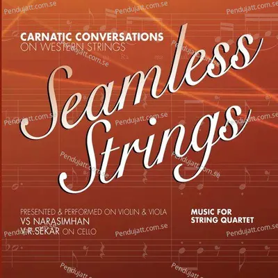 Seamless Strings - V. S. Narasimhan cover album