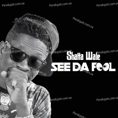 See Da Fool - Shatta Wale album cover 