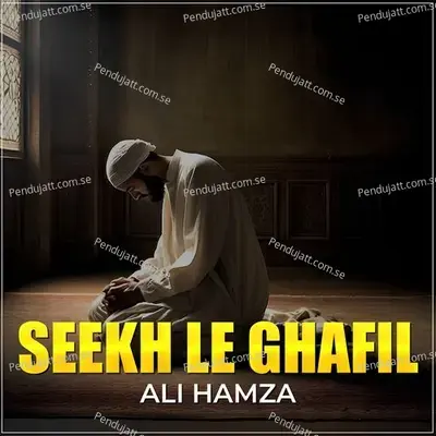 Seekh Le Ghafil - Ali Hamza album cover 