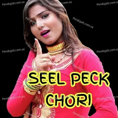 Seel Peck Chori - Aslam Singer Mewati album cover 