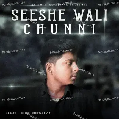 Seeshe Wali Chunni - Krish Shrivastava album cover 