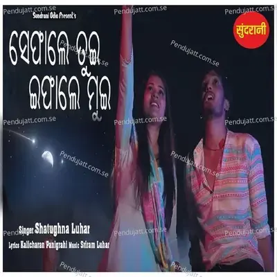 Sefale Tui Efale Mui - Satrughna Luhar album cover 