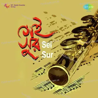 Sei Sur Sei Sur - Arundhati Holme Chowdhury album cover 