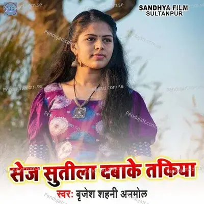 Sej Sutila Dabake Takiya - Brijesh Shahni Anmol album cover 