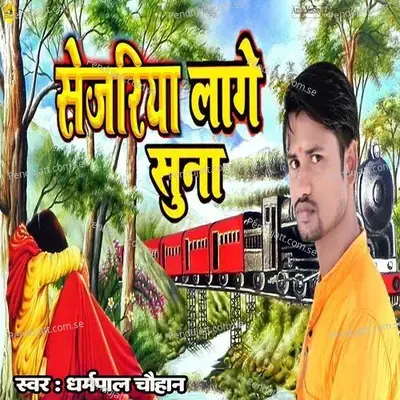 Sejariya Lage Suna - Dharmpal Chauhan album cover 