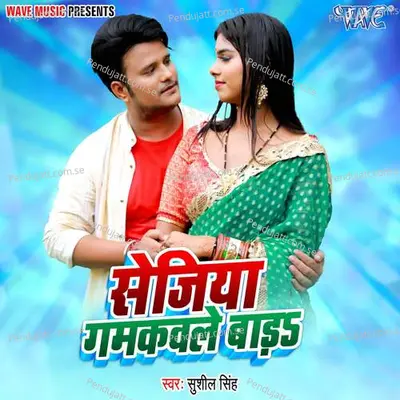 Sejiya Gamkawle Bada - Sushil Singh album cover 