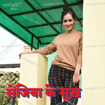 Sejiya Ke Sukh - Chandan Chanchal album cover 