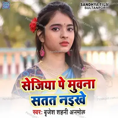 Sejiya Pe Muwna Stat Naikhe - Brijesh Shahni Anmol album cover 