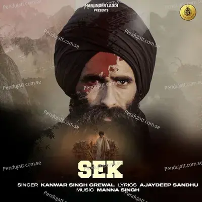 Sek - Kanwar Grewal album cover 