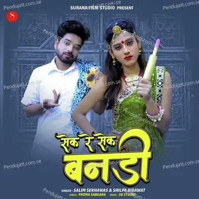 Sek Re Sek Bandi - Salim Shekhawas album cover 