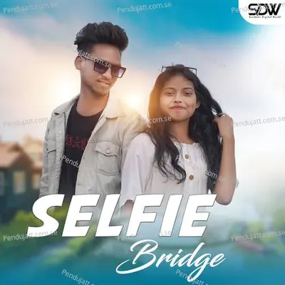 Selfie Bridge - Stephan Tudu album cover 