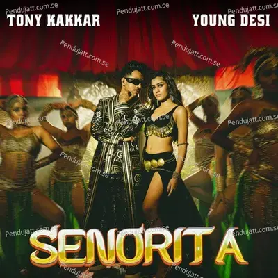 Senorita - Tony Kakkar album cover 