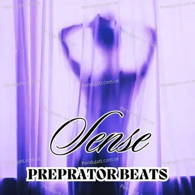 Sense - PREPRATOR BEATS album cover 