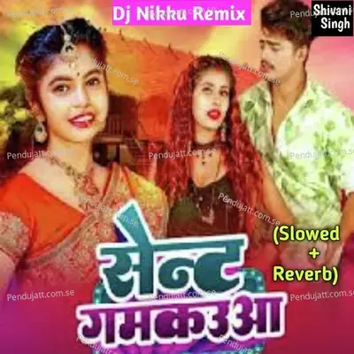 Sent Gamkauwa  Slowed Reverb   Lofi Song  - Shivani Singh