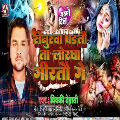 Senurwa Padtau Ta Lorwa Girtau Ge - Vicky Dehati album cover 