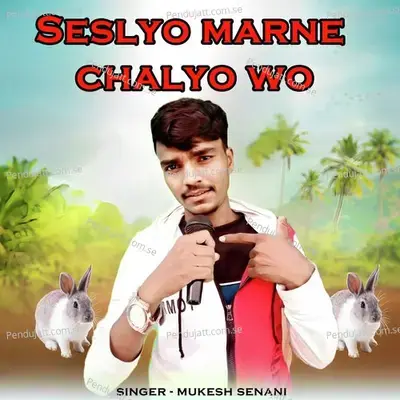 Seslyo Marne Chalyo Wo - Mukesh Senani album cover 