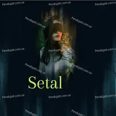 Setal - Laxman Singh album cover 