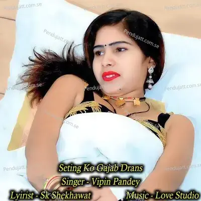 Seting Ko Gajab Drans - Vipin Pandey album cover 