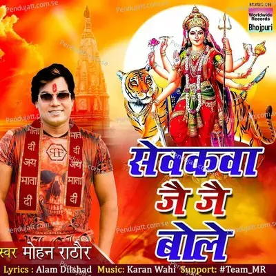 Sevakva Jai Jai Bole - Mohan Rathore album cover 