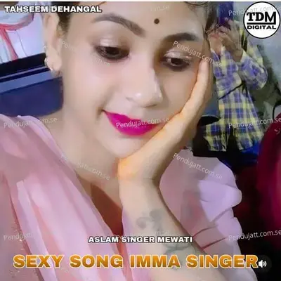 Sexy Song Imma Singer - Tahseem Dehangal album cover 