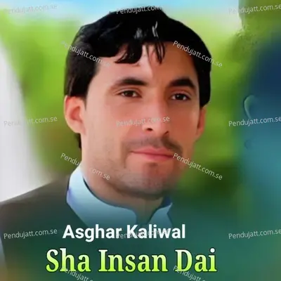 Sha Insan Dai - Asghar Kaliwal cover album