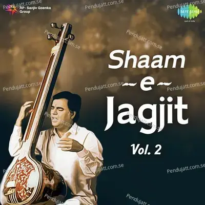 Mil Kar Juda Hue To Na Soya Karenge Haam - Jagjit Singh album cover 